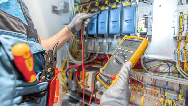 Best Electric Panel Repair  in Weaver, AL